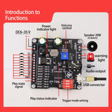 DY-T20L 10W 20W MP3 Player Sound Module Voice Playback Board 9CH One-for-One Control Audio Player Module Memory Card U-Disk Audio Player