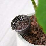 10PCS Bonsai Tools Gardening Products Gardening Tools Bonsai Fertilizer Boxes with Cover, Small Size: 4 x 3cm, Small Size: 4 x 3cm