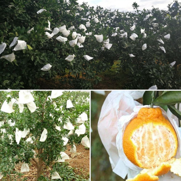 100pcs Fruit Protective Bag Waterproof Orange Packaging Bag Paper Bag, 15x19cm, 16x20cm, 17x21cm
