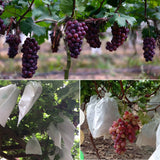 100pcs Waterproof Grape Packaging Bag Paper Bag Fruit Protective Bag, 20x28, 22x31, 25x34, 28x36, 29x38