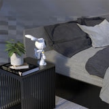 G001 Space Rabbit Starry Sky Projection Lamp Bluetooth Speaker 2 in 1 Laser Light, G001 Bluetooth