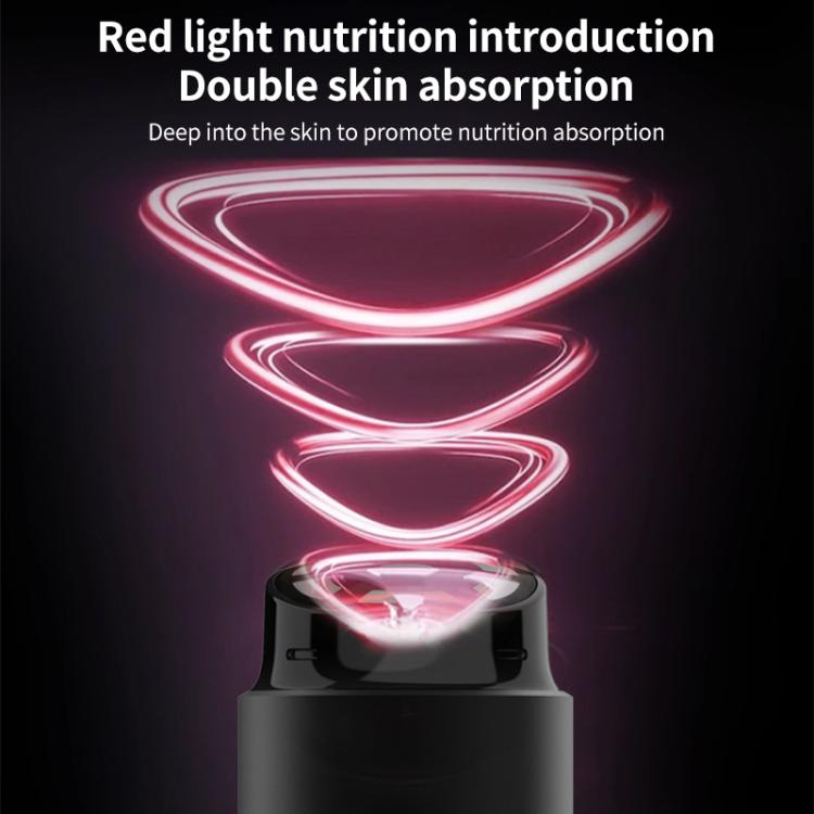 L3007 Frequency Conversion Microcurrent Photon Skin Rejuvenation RF Beauty Instrument, L3007