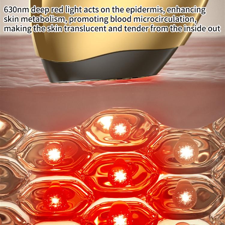 WG-SP-MS1135 EMS Collagen Cannon Essence Introducer Photon Skin Rejuvenation RF Beauty Device, WG-SP-MS113