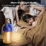 Rechargeable Camping Electric Mosquito Killer Lamp, VD-01