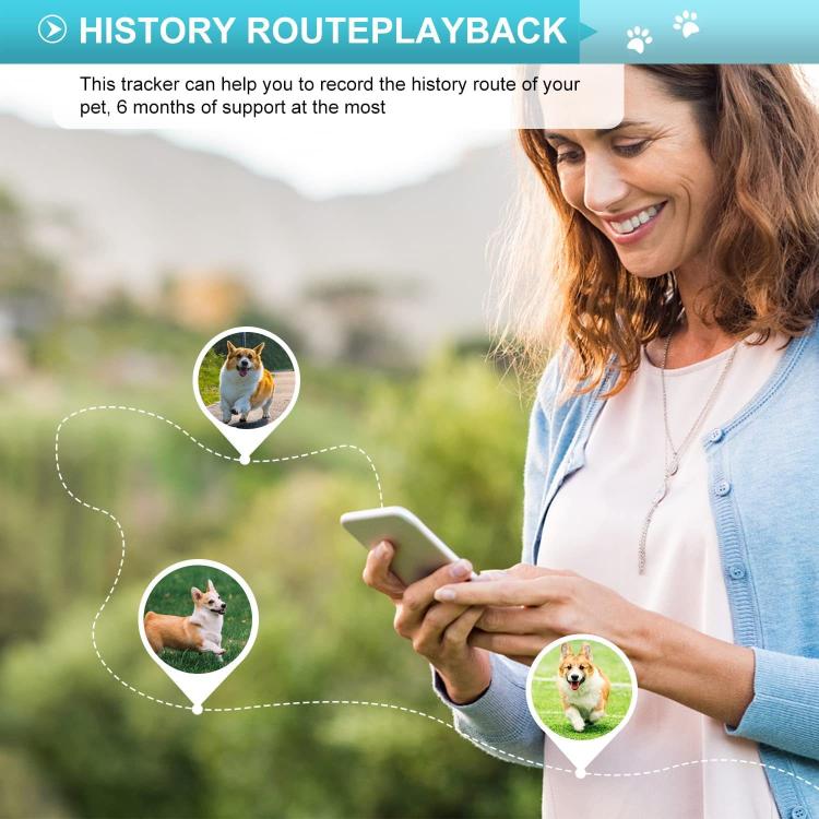 TK919 4G Dog Collar IP67 Waterproof GPS Locator