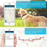 TK919 4G Dog Collar IP67 Waterproof GPS Locator