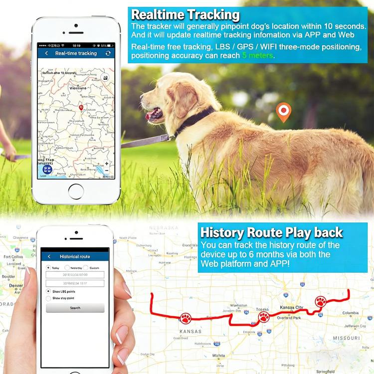 TK919 4G Dog Collar IP67 Waterproof GPS Locator