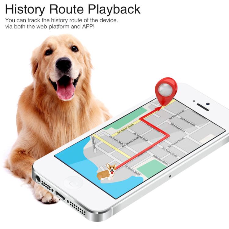 TK919 4G Dog Collar IP67 Waterproof GPS Locator