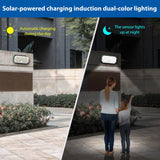 N776B Solar LED High Power Dual Color Sensor Wall Light