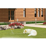 Dog Pile Fixation Spiral Nail with Handle For Medium Small Dog Long Training Outdoor, Size: 45cm*9mm, Size: 45cm*9mm