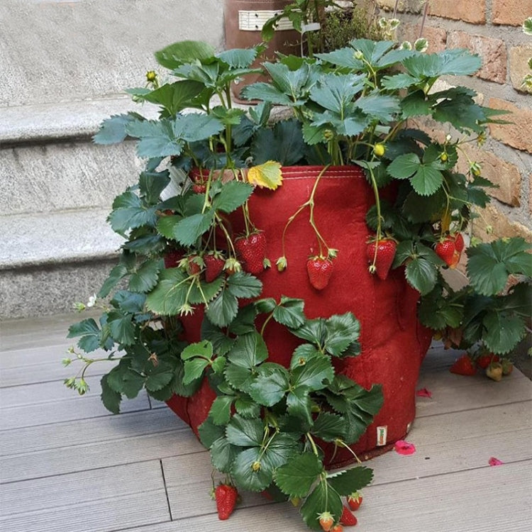3 Pockets 18L / 5 Gallon Non-woven Felt Strawberry Planting Bag, Size: 23X28cm, Size: 23X28cm