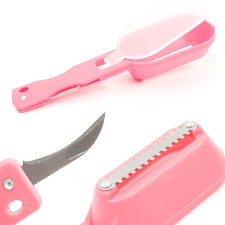 2 PCS Kitchen Essential Fish Scraper Fish Scale Planing Knife with Cover, 20x5.2cm Pink, 20x5.2cm Green, 20x5.2cm Blue