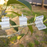 100 PCS Plant Grafting Gardening Plastic Grafting Folder Grafting Clip Transparent Gardening Plastic Grafting Clip Tomatoes Grafting Clips, Plant Grafting Clips Plant Grafting Clips