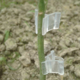 100 PCS Plant Grafting Gardening Plastic Grafting Folder Grafting Clip Transparent Gardening Plastic Grafting Clip Tomatoes Grafting Clips, Plant Grafting Clips