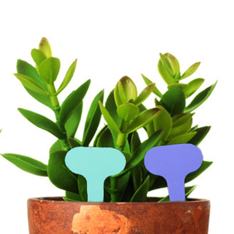 100PCS Floral Label Gardening Label Waterproof small card Insert Label Potted Label,Random Color Delivery, Plant Label 3