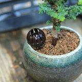 10PCS Bonsai Tools Gardening Products Gardening Tools Bonsai Fertilizer Boxes,Large Size:5.5*4*4cm, Size: L 5.5*4*4cm, Size: L 5.5*4*4cm Green