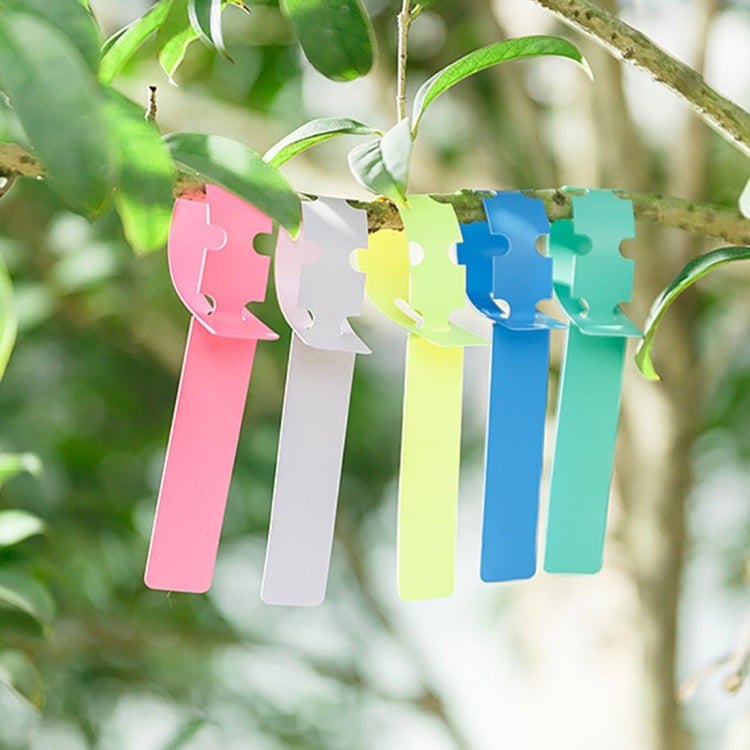 50 PCS Waterproof Label Floral Plant Label Gardening Label,Random Color Delivery, Plant Label 2