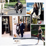 Pet Medium Large Dogs Cushion Traction Rope Spring Foam Handle Explosion-proof Short Chain, Size: 3mm*40cm, Foam Width: 2cm, Size: 3mm*40cm, Foam Width: 2cm