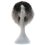 T191006 European and American Wig Headgear with Short and Small Curly Hair for Women Grey