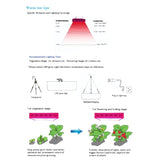 225 LEDs Greenhouse Light Aquarium Light, AC 85-265V, 45W/SMD 2835
