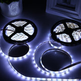 2pcs Bare Board 2835 SMD Dimmable White Light / Warm Light LED Rope Light, 60 LED/m, Length: 5m, 12V 2A 100-240V, 2835 SMD LED, 5m x 2