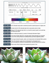 24 LEDs Greenhouse Light Aquarium Light, T5 4.8W(US), T5 4.8W