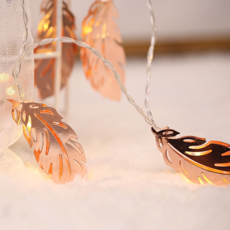 20 LEDs Teenage Style Warm Fairy Decorative Lamp for Christmas, Wedding, Bedroom, Gold Feather Gold Feather