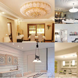 310LM 81 LED SMD 3014, AC/DC 12-20V, LED6702W, LED6702WW