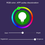 14 LEDs 3000K+RGB 1050 LM Works with Alexa & Google Home, AC 230V