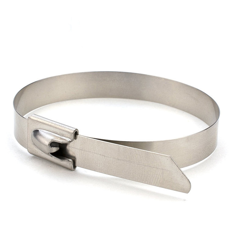 100 PCS 4.6x200mm Stainless Steel Metal Cable Ties Tie Zip Wrap Exhaust Heat Straps Induction Pipe, 4.6x200mm