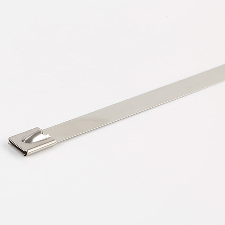 100 PCS 4.6x600mm Stainless Steel Metal Cable Ties Tie Zip Wrap Exhaust Heat Straps Induction Pipe, 4.6x600mm