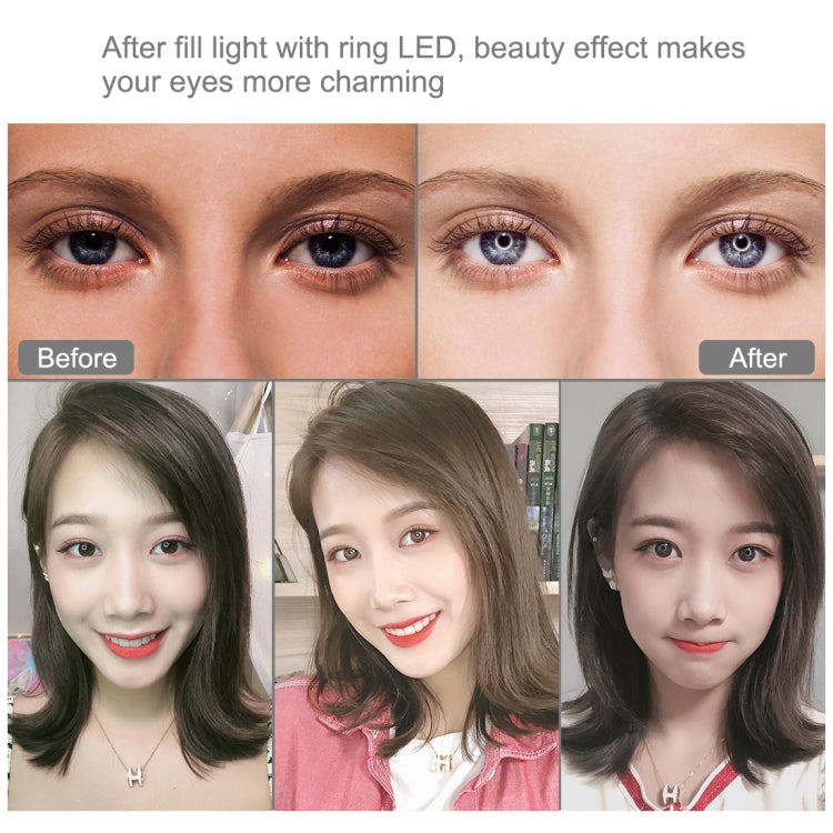 PULUZ 11.8 inch 30cm Light + 1.65m Tripod + Dual Phone Bracket Curved Surface USB 3 Modes Dimmable Dual Color Temperature LED Ring Vlogging Video Light Live Broadcast Kits with Phone Clamp, 11.8 inch+1.65m Tripod+Dual Bracket