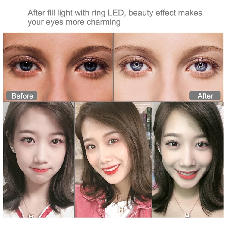 PULUZ 11.8 inch 30cm RGBW Light + 1.65m Mount + Dual Phone Brackets Curved Surface RGBW Dimmable LED Ring Selfie Vlogging Light Live Broadcast Kits with Cold Shoe Tripod Adapter & Phone Clamp & Remote Control, 11.8 inch RGBW+1.65m Tripod+Dual Bracket
