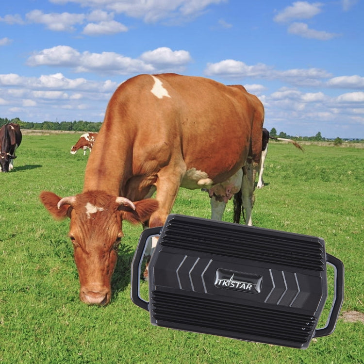 TKSTAR TK935 3000mAh GPS Pet Livestock Car Tracker Waterproof Locator, TK935 TK935