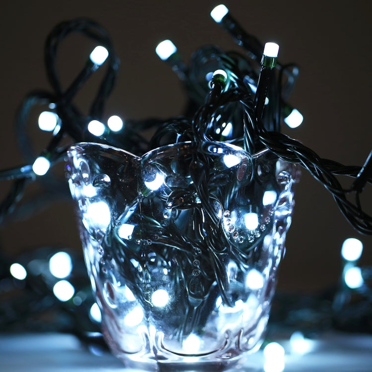 100 LED RGB Light with Controller, Flashing / Fading / Chasing Effect, White Light US Plug, Warm White US Plug, Warm White EU Plug, White Light EU Plug, 220V Colorful Light EU Plug, Colorful Light US Plug White Light EU Plug S-LED-1254AWL