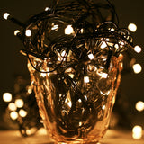 100 LED RGB Light with Controller, Flashing / Fading / Chasing Effect, White Light US Plug, Warm White US Plug, Warm White EU Plug, White Light EU Plug, 220V Colorful Light EU Plug, Colorful Light US Plug Warm White EU Plug S-LED-1254AWW