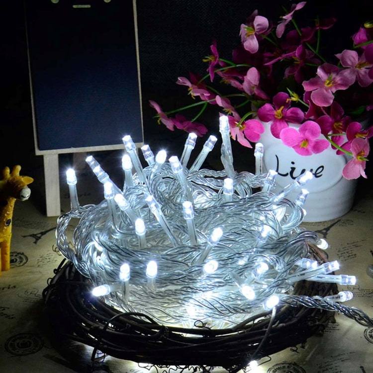 100 LED Light with Controller, Flashing / Fading / Chasing Effect, AC 220V, EU Plug, White Light, Red Light, Orange Light, Blue Light, Pink Light, Purple Light, Yellow Light, Green Light