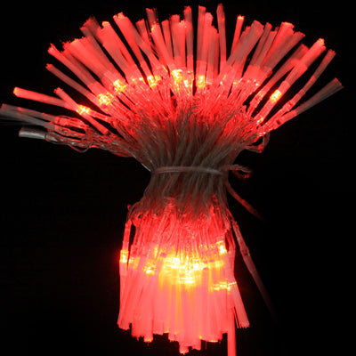 100 LED RGB Light with Controller, Flashing / Fading / Chasing Effect