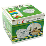 3 LED, AC 85-265V, White Light, Warm White Light