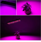 25W 75LEDs Full Spectrum Plant Lighting Fitolampy For Plants Flowers Seedling Cultivation Growing Lamps LED Grow Light AC85-265V, US, EU