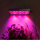25W 75LEDs Full Spectrum Plant Lighting Fitolampy For Plants Flowers Seedling Cultivation Growing Lamps LED Grow Light AC85-265V, US, EU