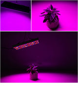25W 75LEDs Full Spectrum Plant Lighting Fitolampy For Plants Flowers Seedling Cultivation Growing Lamps LED Grow Light AC85-265V, US, EU