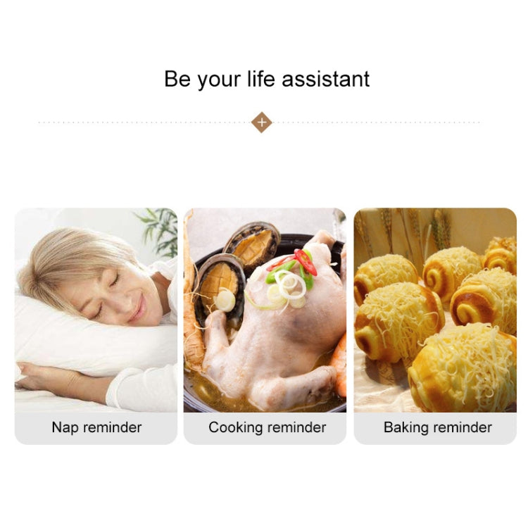 Mechanical Egg Kitchen Cooking Timer Alarm 60 Minutes Stainless Steel Kitchen Tools, Mechanical Egg Timer