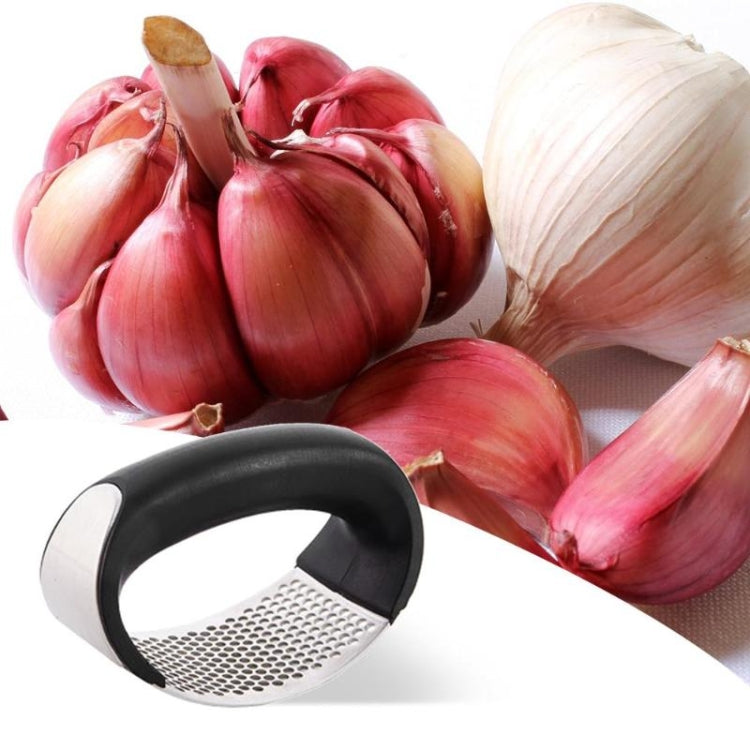 Stainless Steel Garlic Presser Manual Garlic Mincer Chopping Garlic Tools, Garlic Presser(Black)