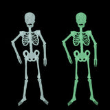 Luminous Skeleton Halloween Activity Props Bar Haunted House Decoration Supplies Fluorescent Skeleton, Small（35cm), Medium(90cm), Large(150cm)