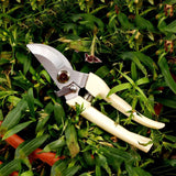 Garden Tools Stainless Steel Pruning Shears Fruit Tree Scissors Garden Branch Shears New And Old Packages Randomly Delivery