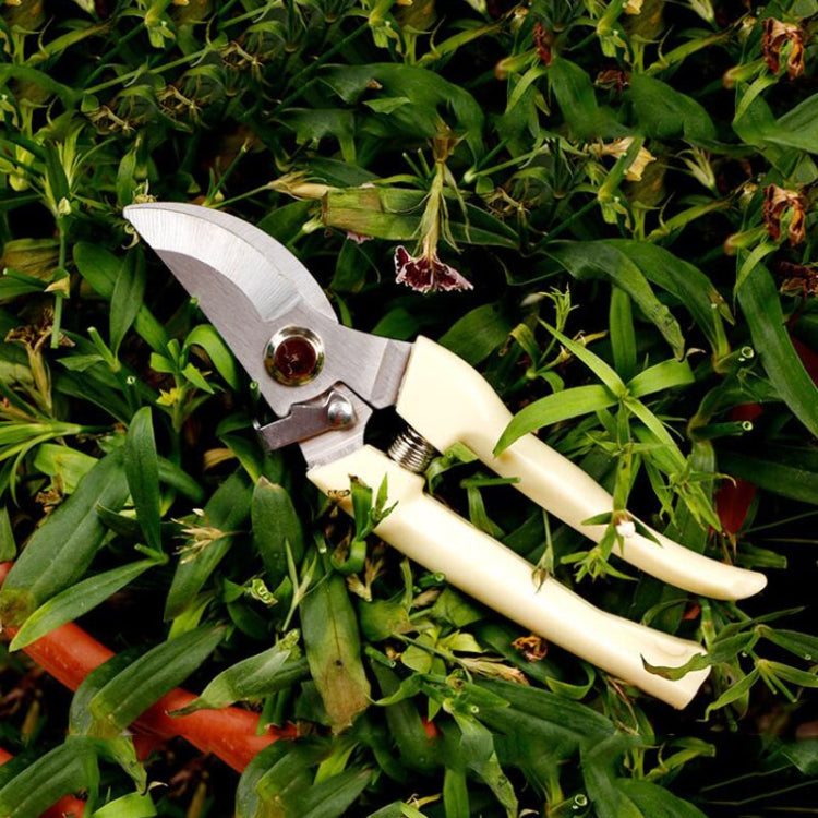 Garden Tools Stainless Steel Pruning Shears Fruit Tree Scissors Garden Branch Shears New And Old Packages Randomly Delivery