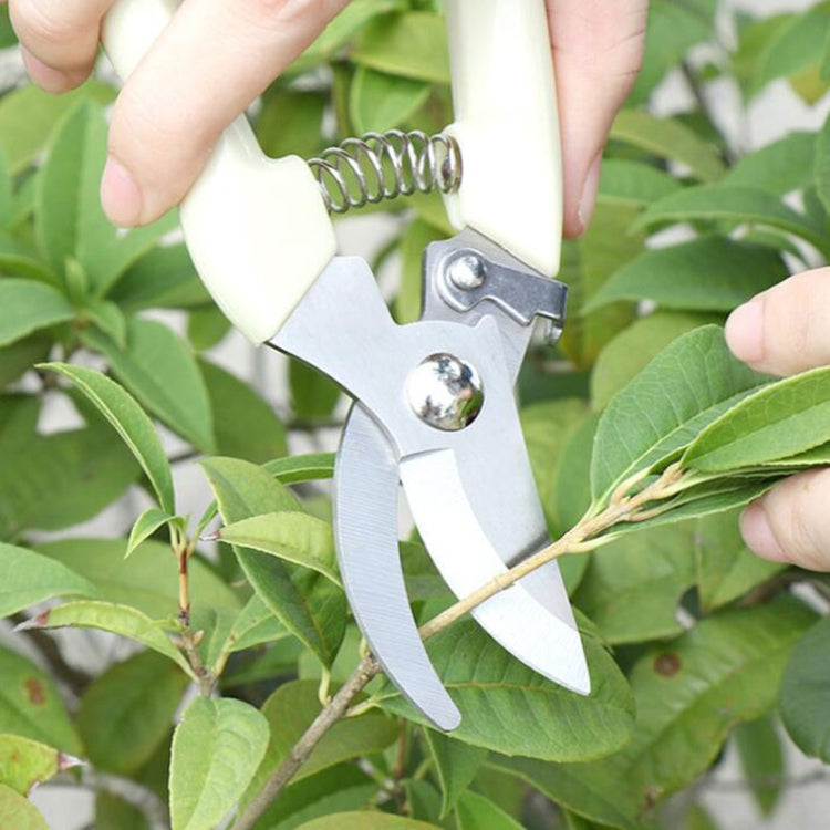 Garden Tools Stainless Steel Pruning Shears Fruit Tree Scissors Garden Branch Shears New And Old Packages Randomly Delivery