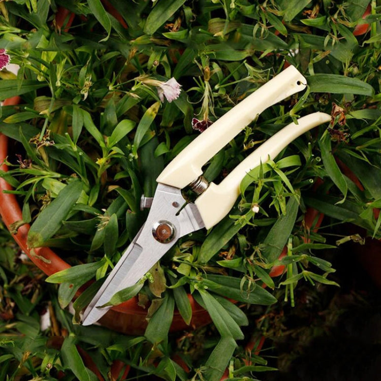 Garden Tools Stainless Steel Pruning Shears Fruit Tree Scissors Garden Branch Shears New And Old Packages Randomly Delivery
