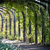 12 PCS Bird Revolving Rod Reflective Bird Repeller, 12 PCS